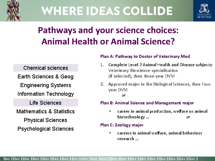 Pathways and your science choices: Animal Health or Animal Science? Plan A: Pathway to