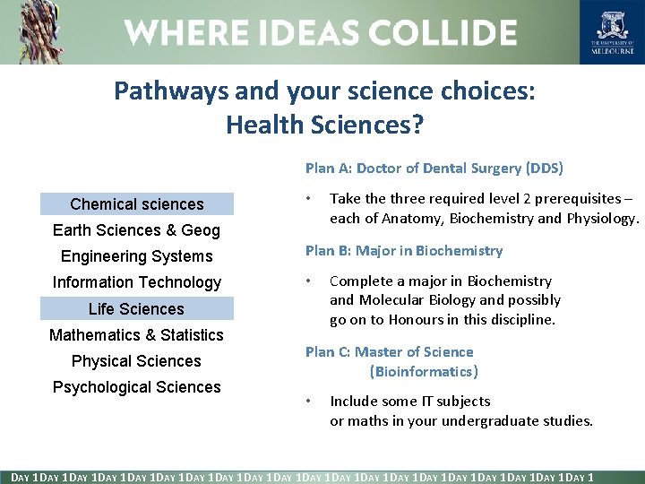 Pathways and your science choices: Health Sciences? Plan A: Doctor of Dental Surgery (DDS)