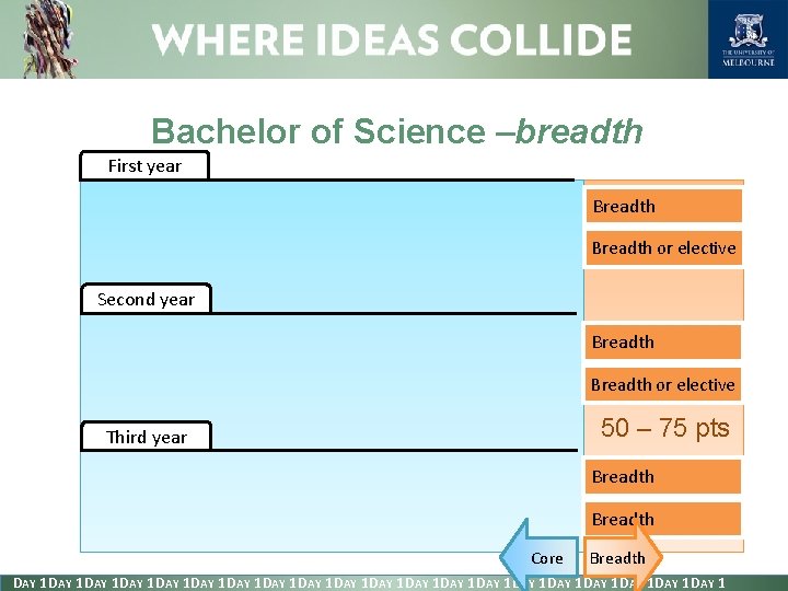 Bachelor of Science –breadth First year Breadth or elective Second year Breadth or elective