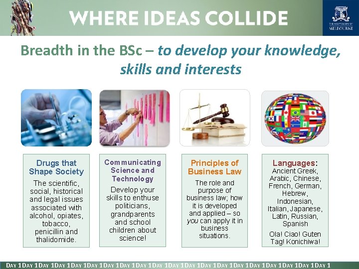 Breadth in the BSc – to develop your knowledge, skills and interests Drugs that