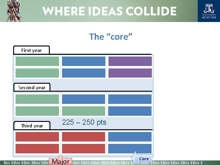 The “core” First year Second year Third year 225 – 250 pts Major Core