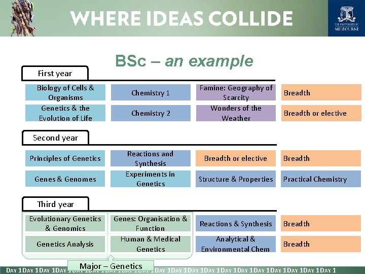 BSc – an example First year Biology of Cells & Organisms Genetics & the
