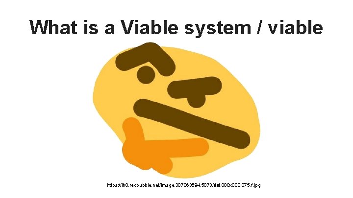 What is a Viable system / viable system model? https: //ih 0. redbubble. net/image.