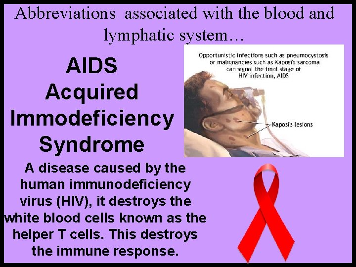 Abbreviations associated with the blood and lymphatic system… AIDS Acquired Immodeficiency Syndrome A disease