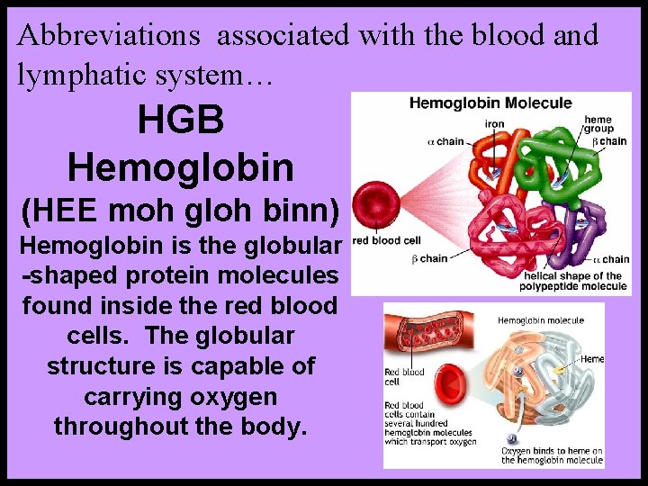 Abbreviations associated with the blood and lymphatic system… HGB Hemoglobin (HEE moh gloh binn)
