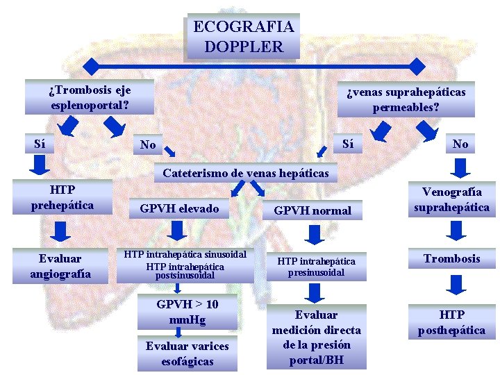 ECOGRAFIA DOPPLER ¿Trombosis eje esplenoportal? Sí ¿venas suprahepáticas permeables? Sí No No Cateterismo de