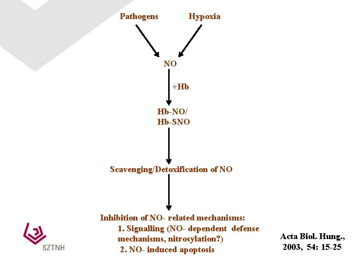 Pathogens Hypoxia NO +Hb Hb-NO/ Hb-SNO Scavenging/Detoxification of NO Inhibition of NO- related mechanisms: