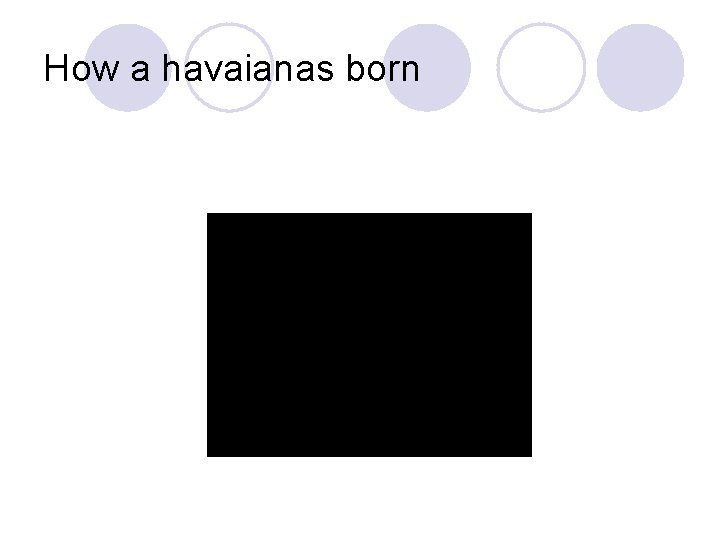 How a havaianas born 