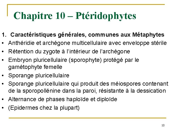 Chapitre 10 – Ptéridophytes 1. Caractéristiques générales, communes aux Métaphytes • Anthéridie et archégone