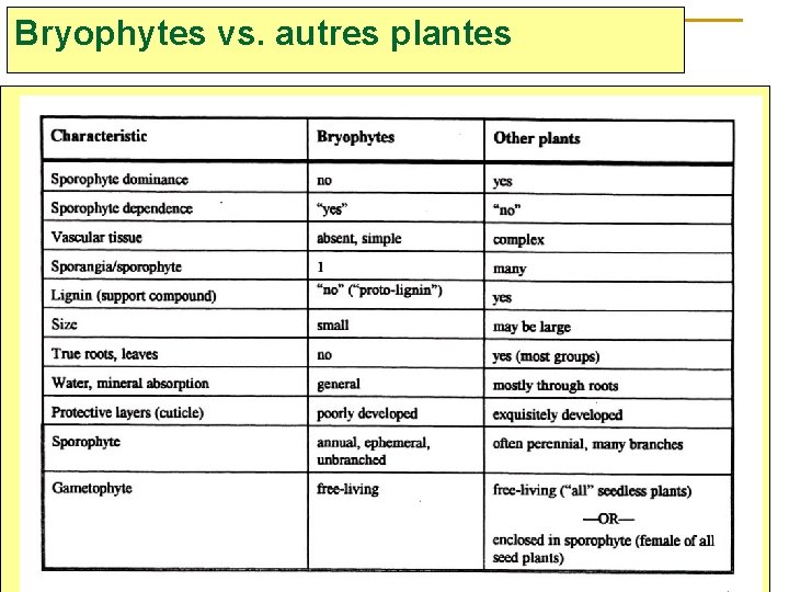 Bryophytes vs. autres plantes 