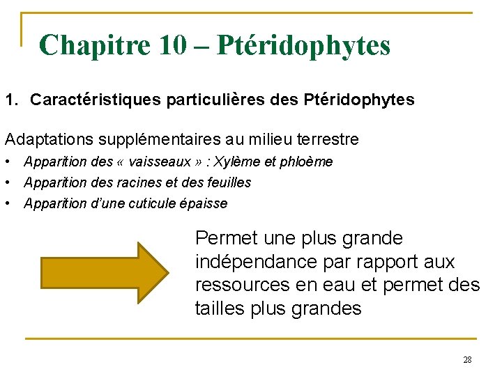 Chapitre 10 – Ptéridophytes 1. Caractéristiques particulières des Ptéridophytes Adaptations supplémentaires au milieu terrestre