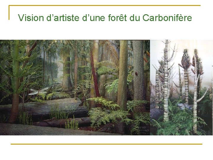 Vision d’artiste d’une forêt du Carbonifère 