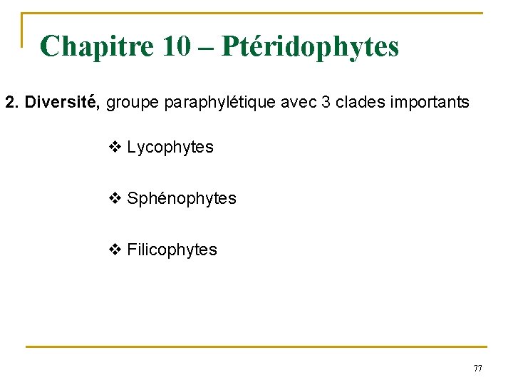 Chapitre 10 – Ptéridophytes 2. Diversité, groupe paraphylétique avec 3 clades importants v Lycophytes