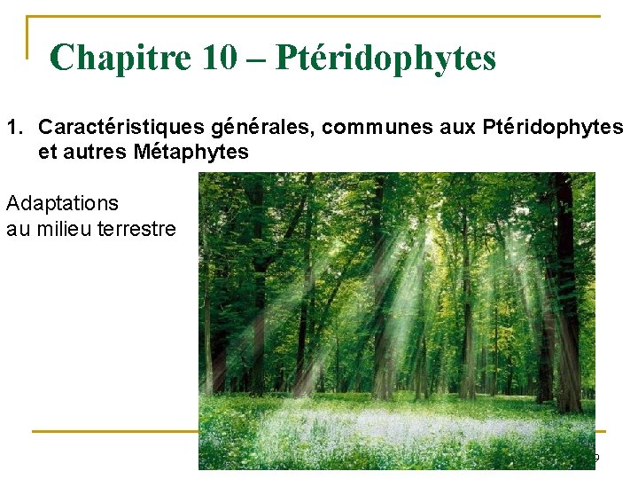 Chapitre 10 – Ptéridophytes 1. Caractéristiques générales, communes aux Ptéridophytes et autres Métaphytes Adaptations