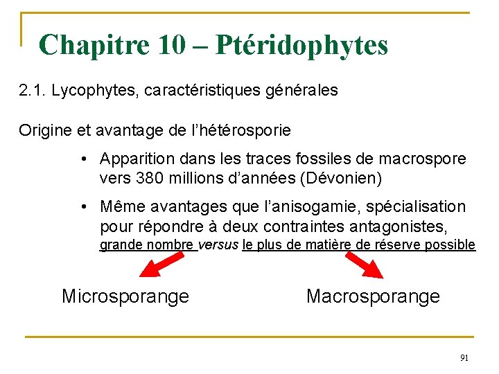 Chapitre 10 – Ptéridophytes 2. 1. Lycophytes, caractéristiques générales Origine et avantage de l’hétérosporie