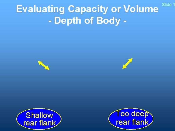 Evaluating Capacity or Volume - Depth of Body - Shallow rear flank Too deep
