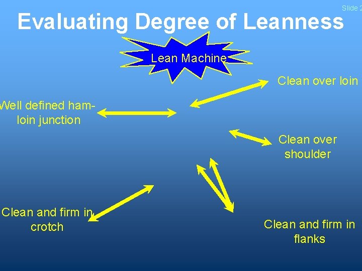 Slide 2 Evaluating Degree of Leanness Lean Machine Clean over loin Well defined hamloin