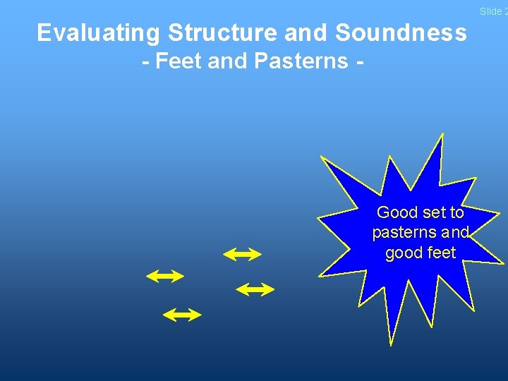 Slide 2 Evaluating Structure and Soundness - Feet and Pasterns - Good set to