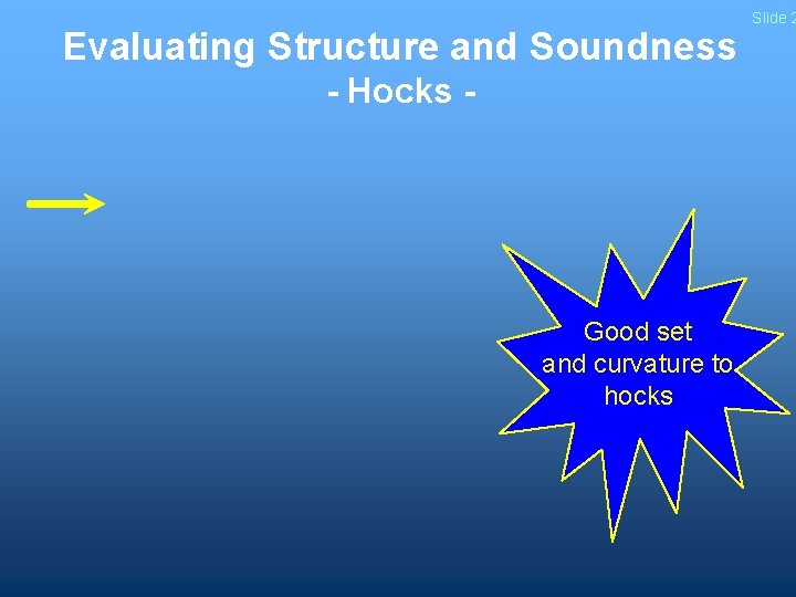 Evaluating Structure and Soundness - Hocks - Good set and curvature to hocks Slide