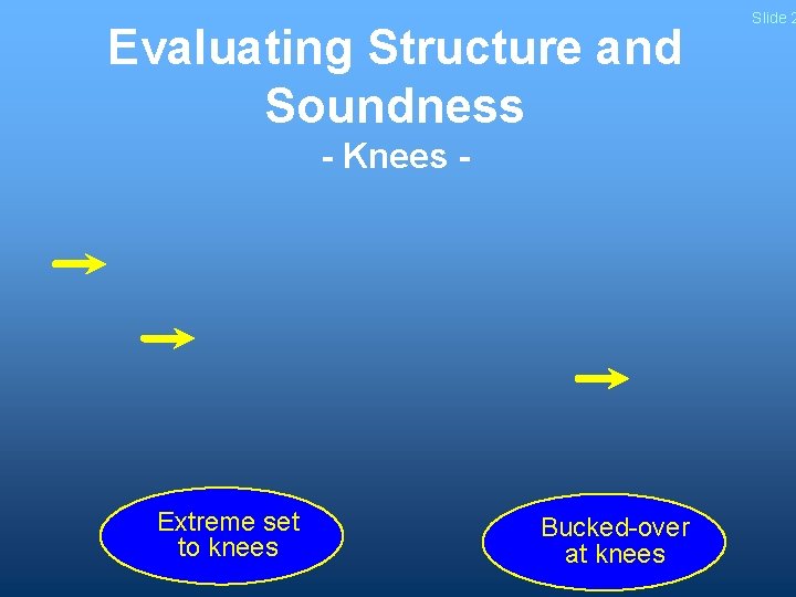 Evaluating Structure and Soundness - Knees - Extreme set to knees Bucked-over at knees