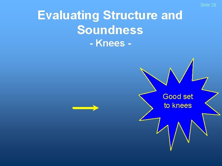 Slide 28 Evaluating Structure and Soundness - Knees - Good set to knees 