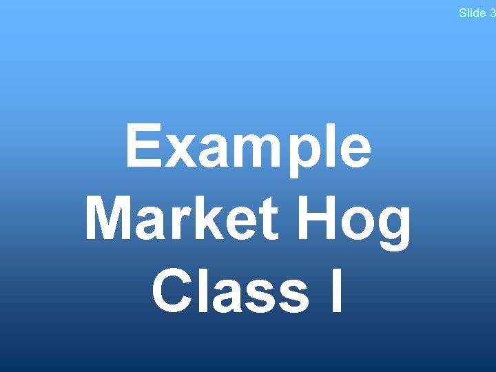 Slide 3 Example Market Hog Class I 