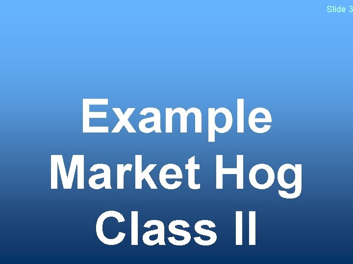 Slide 3 Example Market Hog Class II 