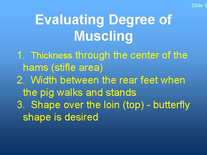 Slide 5 Evaluating Degree of Muscling 1. Thickness through the center of the hams
