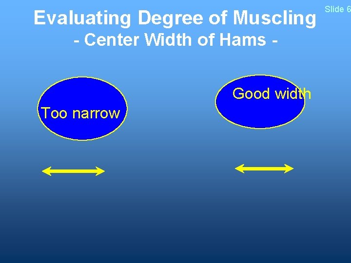 Evaluating Degree of Muscling - Center Width of Hams Good width Too narrow Slide
