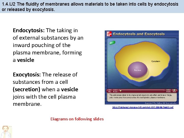 1. 4. U 2 The fluidity of membranes allows materials to be taken into