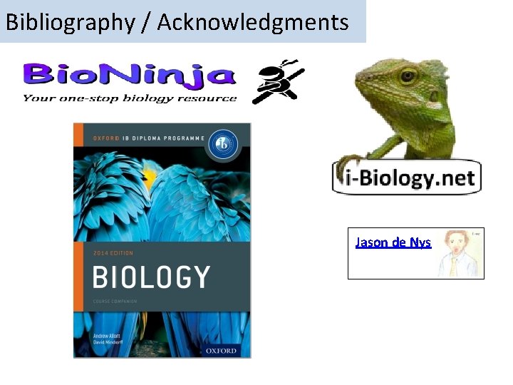 Bibliography / Acknowledgments Jason de Nys 