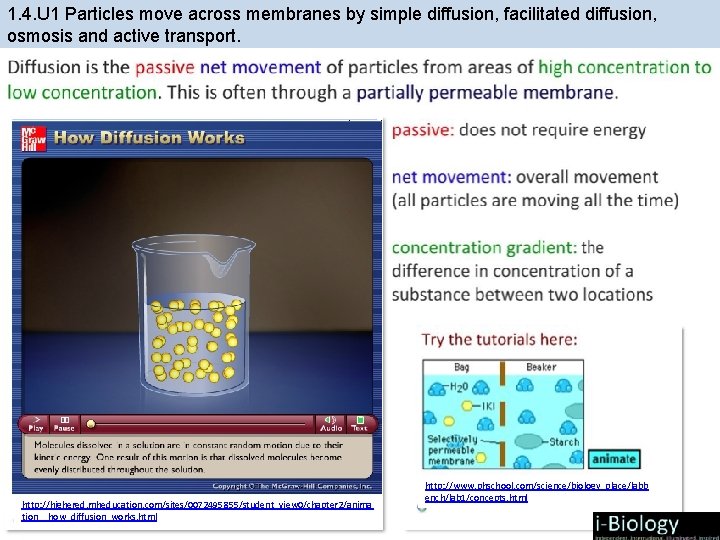 1. 4. U 1 Particles move across membranes by simple diffusion, facilitated diffusion, osmosis