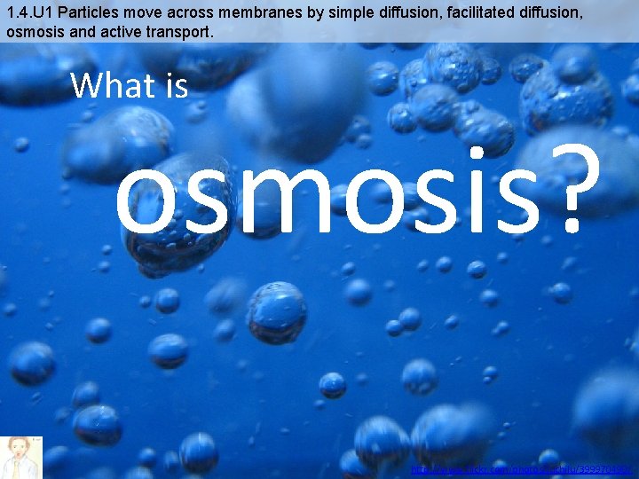 1. 4. U 1 Particles move across membranes by simple diffusion, facilitated diffusion, osmosis