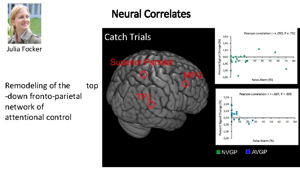 Neural Correlates Catch Trials Julia Focker Remodeling of the top -down fronto-parietal network of