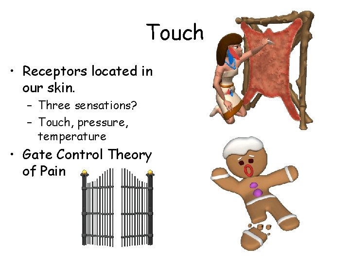 Touch • Receptors located in our skin. – Three sensations? – Touch, pressure, temperature