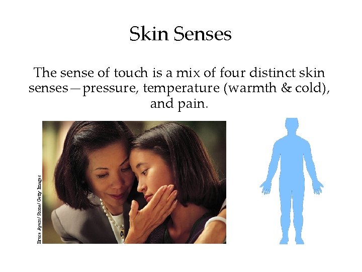 Skin Senses Bruce Ayers/ Stone/ Getty Images The sense of touch is a mix