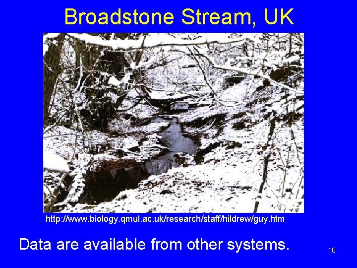 Broadstone Stream, UK http: //www. biology. qmul. ac. uk/research/staff/hildrew/guy. htm Data are available from