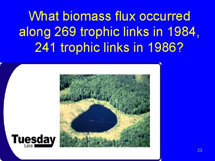 What biomass flux occurred along 269 trophic links in 1984, 241 trophic links in