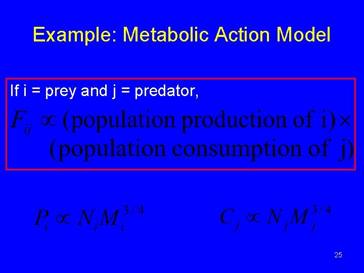 Example: Metabolic Action Model If i = prey and j = predator, 25 