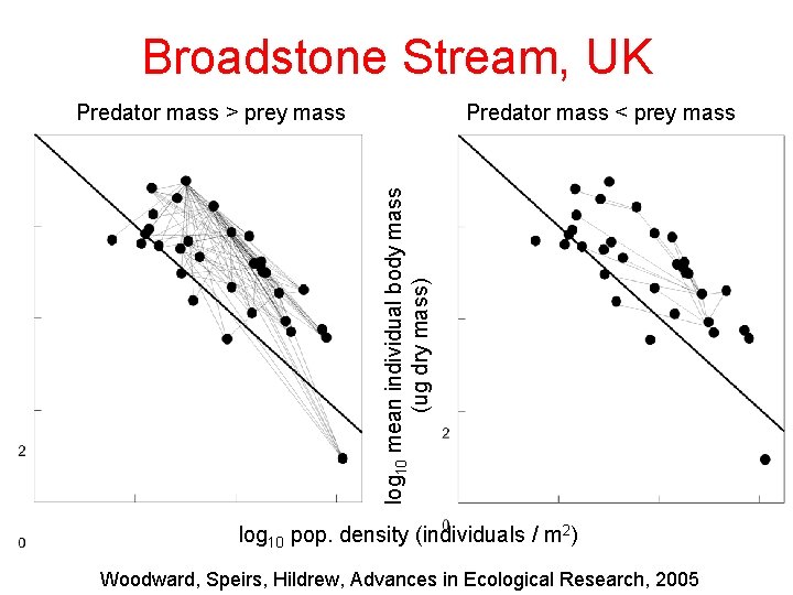 Broadstone Stream, UK Predator mass < prey mass log 10 mean individual body mass