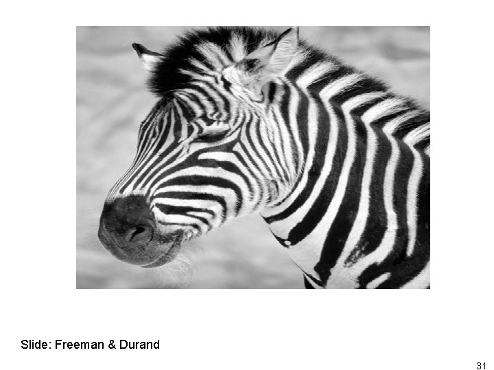 Slide: Freeman & Durand 31 