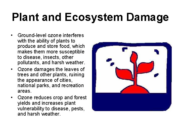 Plant and Ecosystem Damage • Ground-level ozone interferes with the ability of plants to