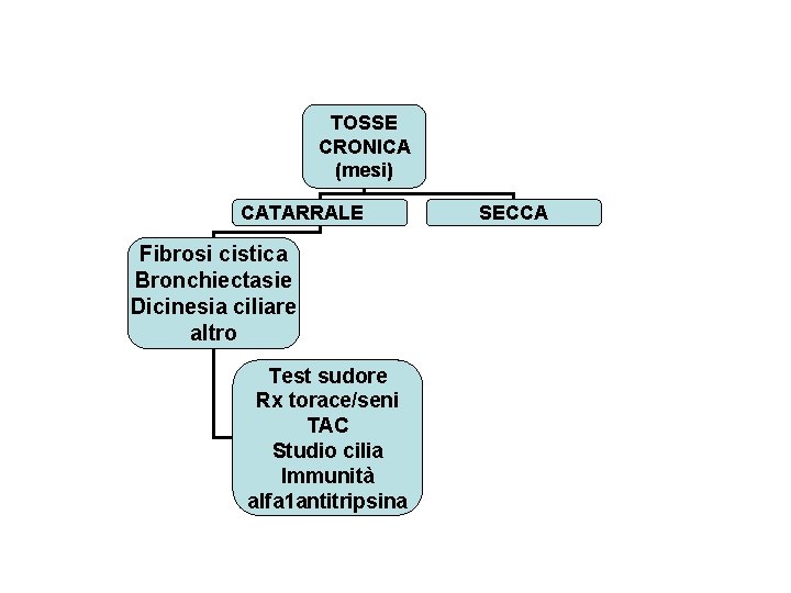 TOSSE CRONICA (mesi) CATARRALE Fibrosi cistica Bronchiectasie Dicinesia ciliare altro Test sudore Rx torace/seni