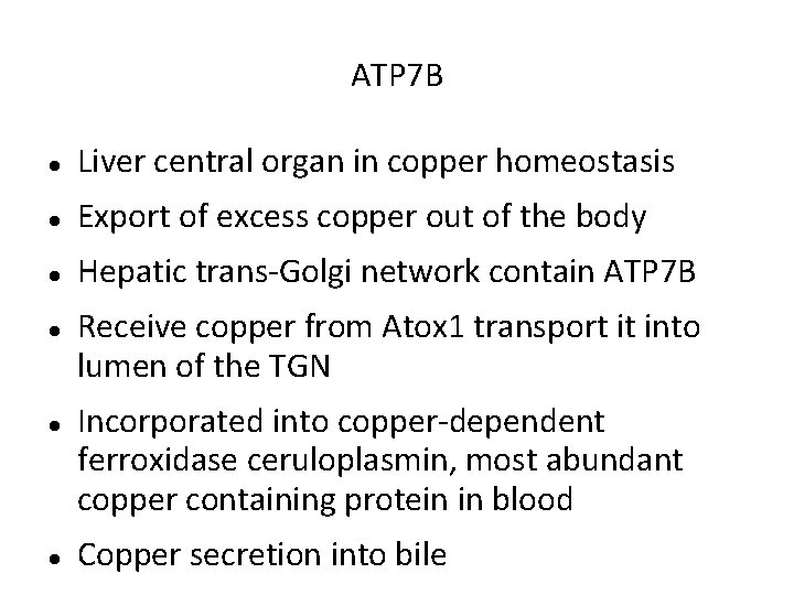 ATP 7 B Liver central organ in copper homeostasis Export of excess copper out