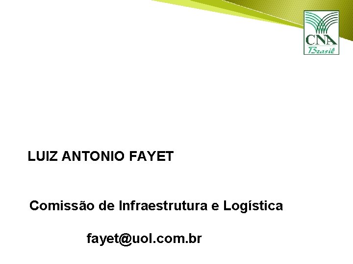 LUIZ ANTONIO FAYET Comissão de Infraestrutura e Logística fayet@uol. com. br 