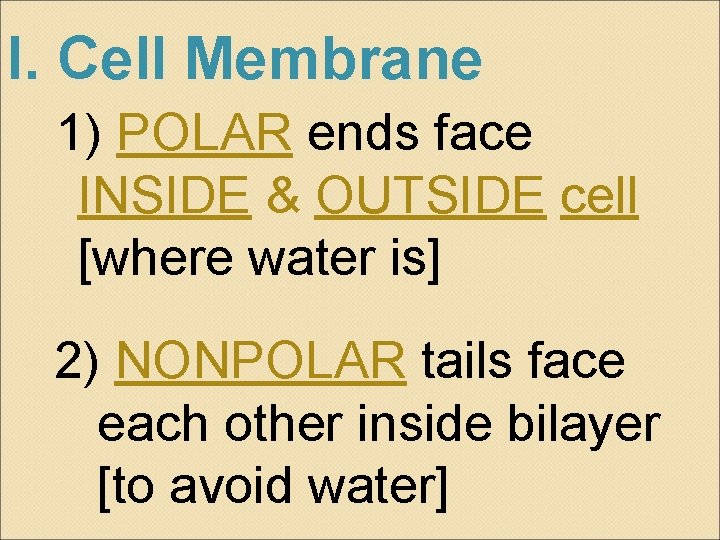 I. Cell Membrane 1) POLAR ends face INSIDE & OUTSIDE cell [where water is]