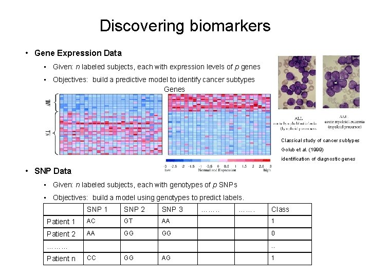 Discovering biomarkers • Gene Expression Data • Given: n labeled subjects, each with expression