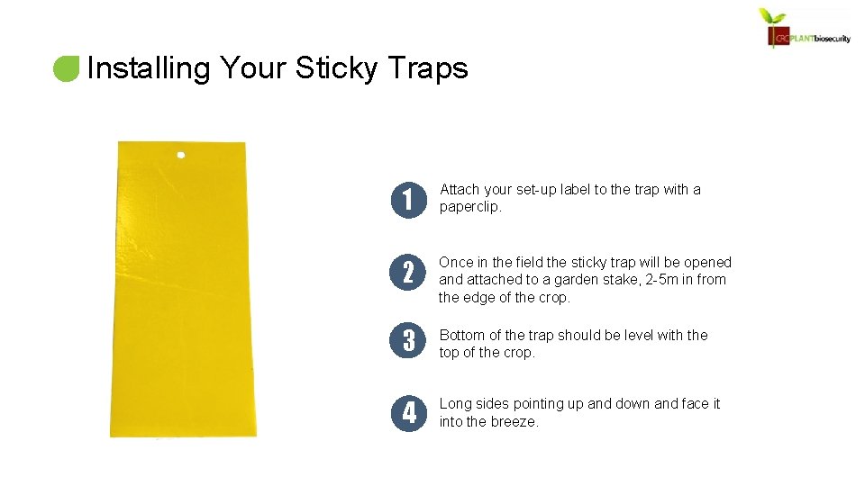Installing Your Sticky Traps 1 Attach your set-up label to the trap with a
