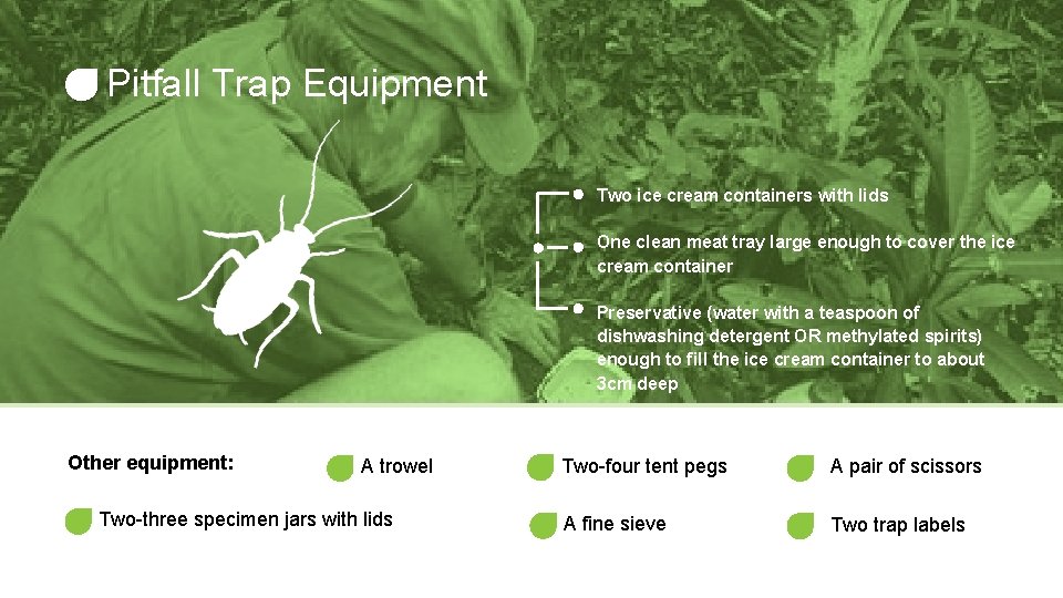 Pitfall Trap Equipment Two ice cream containers with lids One clean meat tray large