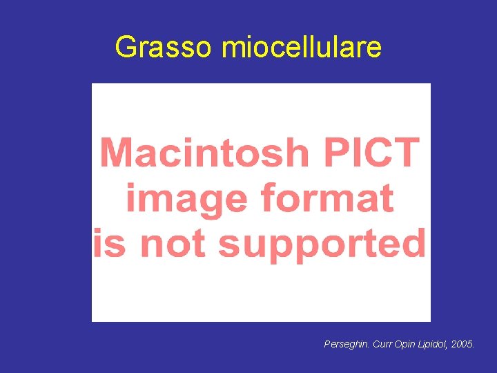 Grasso miocellulare Perseghin. Curr Opin Lipidol, 2005. 